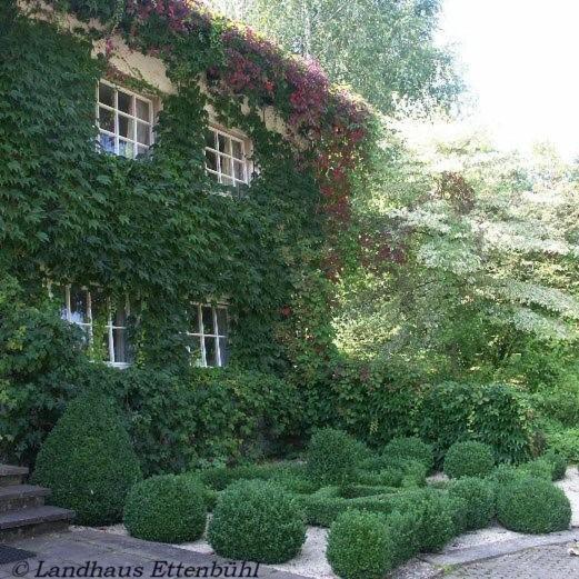 Landhaus Ettenbuehl Bed And Breakfast Bad Bellingen Dış mekan fotoğraf